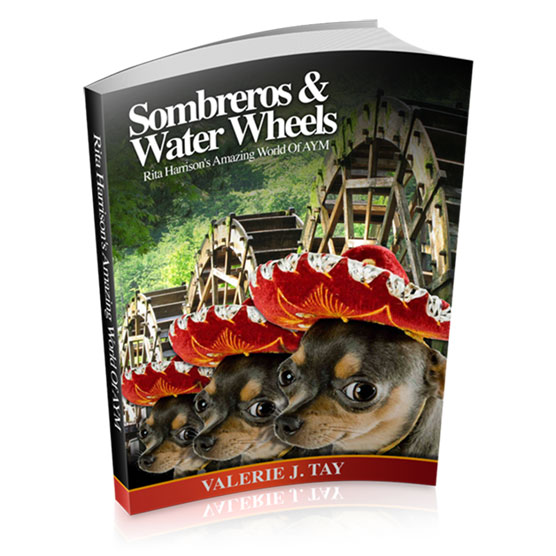 Sombreros and Water Wheels